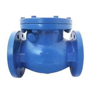 Check Valve Flanged
