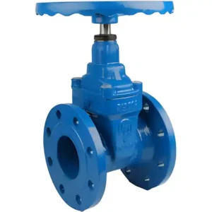 gate-valve-flanged